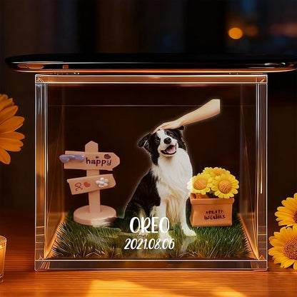 Personalised Pet Holographic Memorial Box – 3D Digital Pet House Keepsake